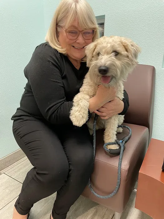 1st Pet Veterinary Centers - Chandler Picture 4