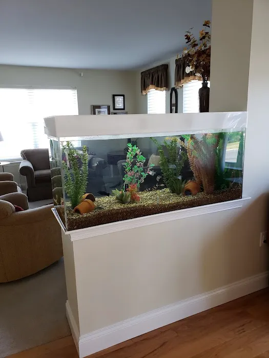 TRUVU Aquariums Picture 6