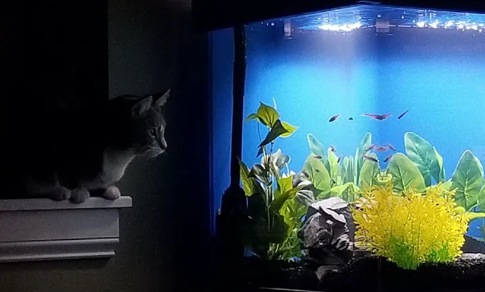 TRUVU Aquariums Picture 4