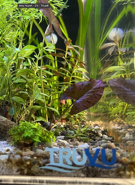 TRUVU Aquariums Picture 8