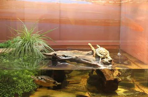 TRUVU Aquariums Picture 7