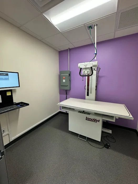 Amethyst Veterinary Clinic Picture 3