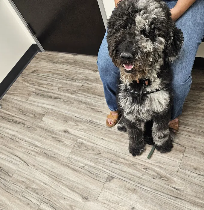 Amethyst Veterinary Clinic Picture 2