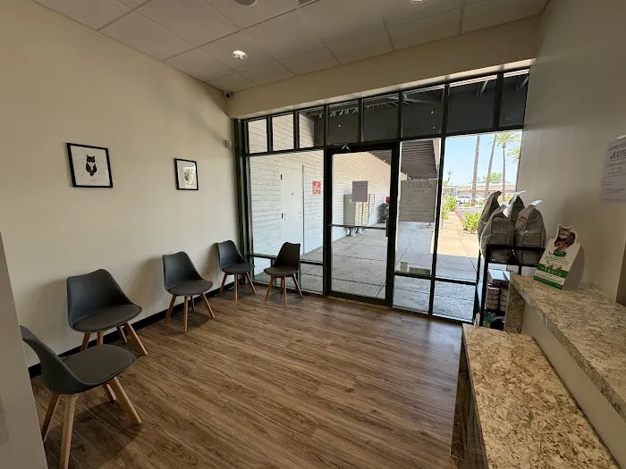 Amethyst Veterinary Clinic Picture 1
