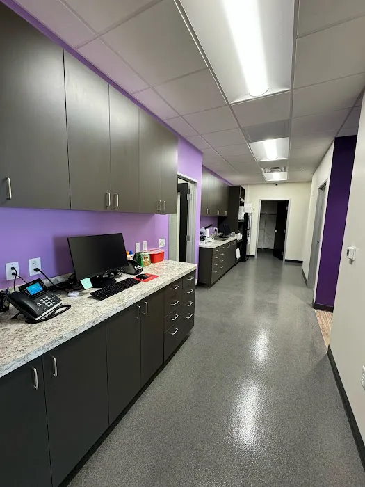 Amethyst Veterinary Clinic Picture 4
