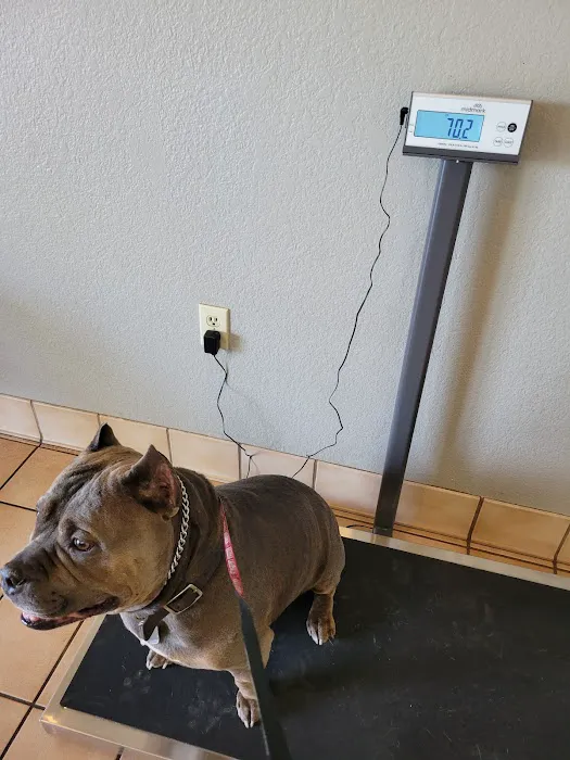 Arizona Avenue Animal Clinic Picture 2
