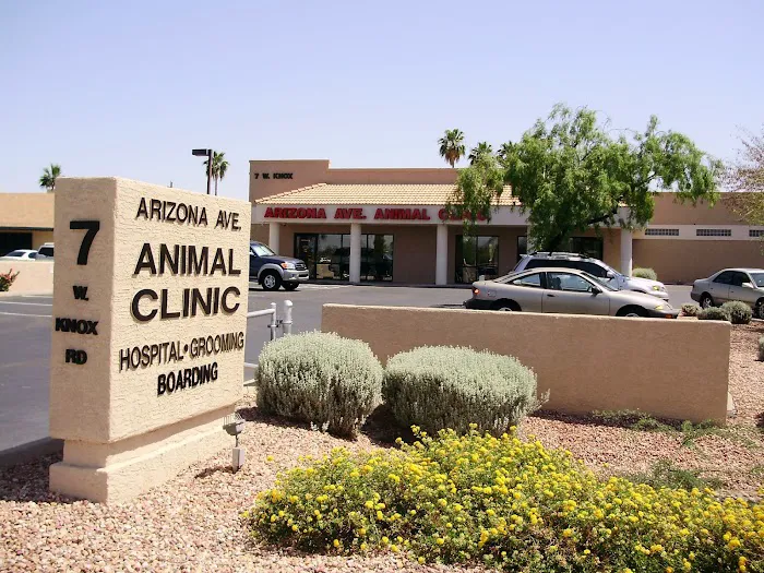 Arizona Avenue Animal Clinic Picture 7