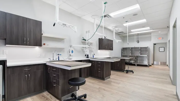 Phoenix Mobile Veterinarians and Animal Hospital Picture 1