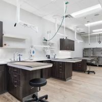 Phoenix Mobile Veterinarians and Animal Hospital ico
