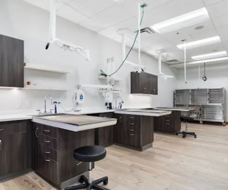 Phoenix Mobile Veterinarians and Animal Hospital