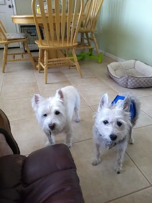 Eastside Animal Hospital Picture 3