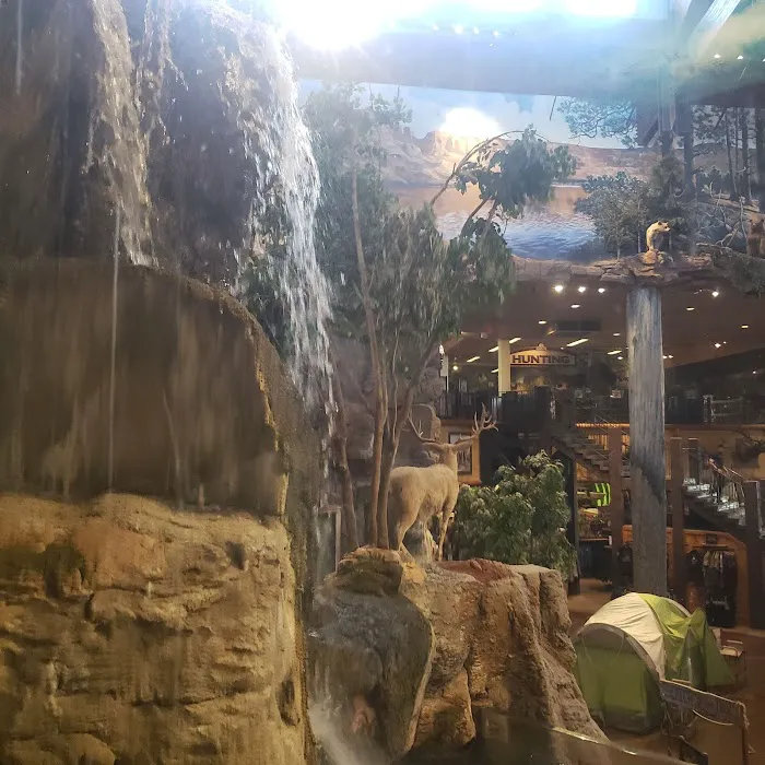 Sea Savvy Aquarium Picture 2