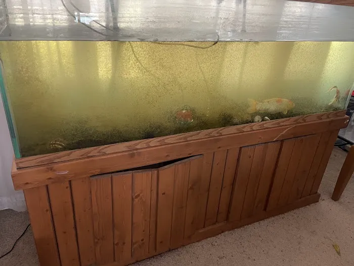 Sea Savvy Aquarium Picture 9