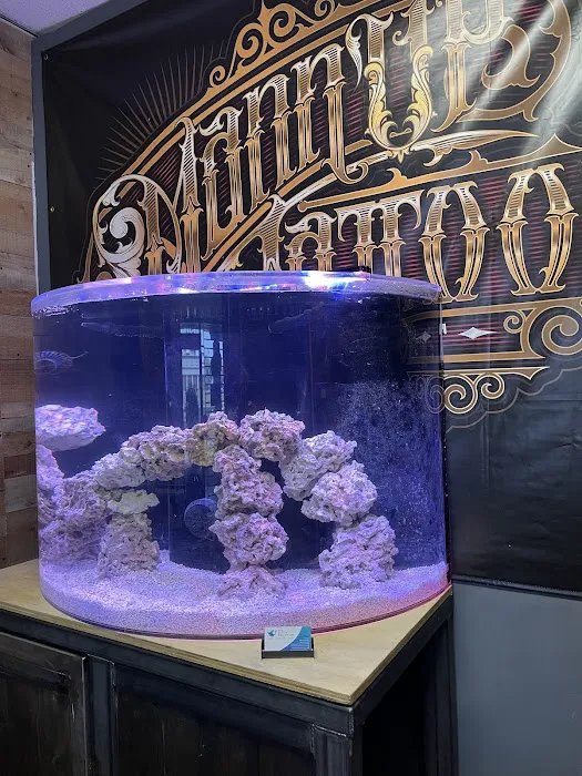 Sea Savvy Aquarium Picture 1