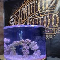 Sea Savvy Aquarium ico