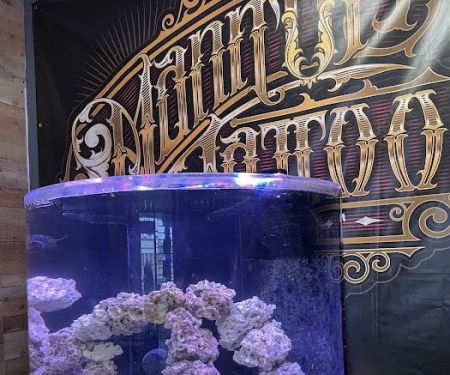 Sea Savvy Aquarium