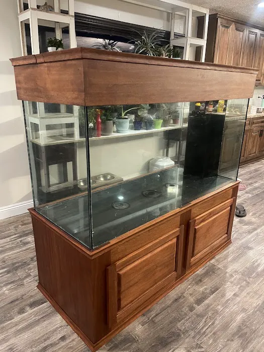 Sea Savvy Aquarium Picture 3