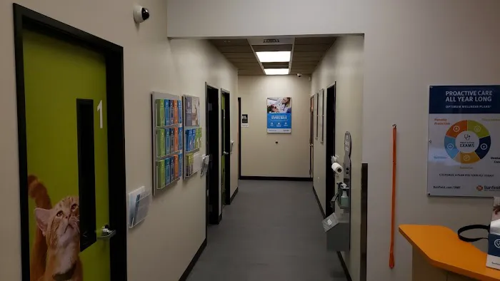 Banfield Pet Hospital Picture 6