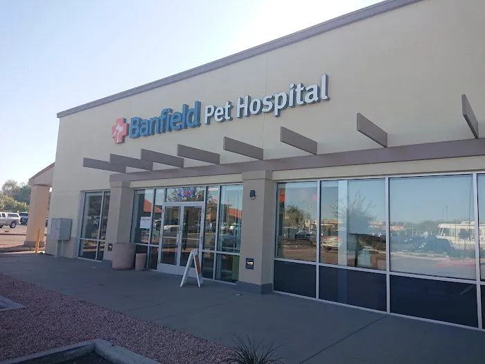 Banfield Pet Hospital Picture 8