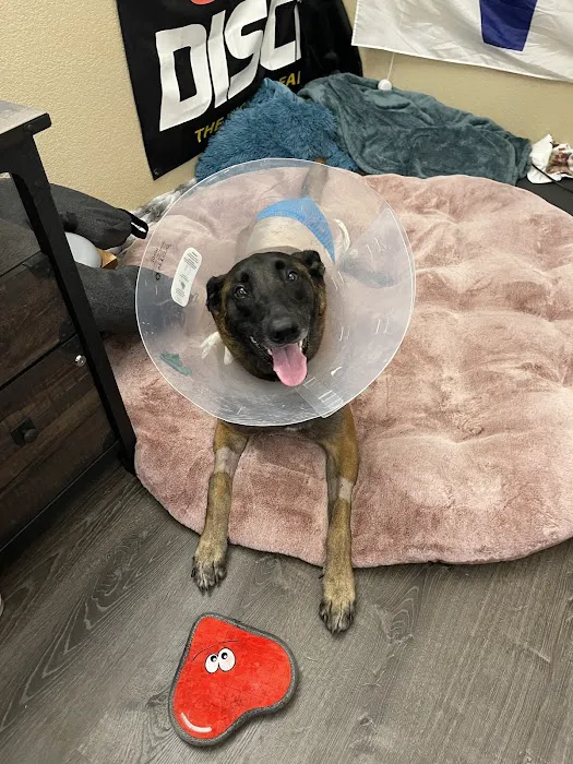 Paws Veterinary Clinic Picture 2