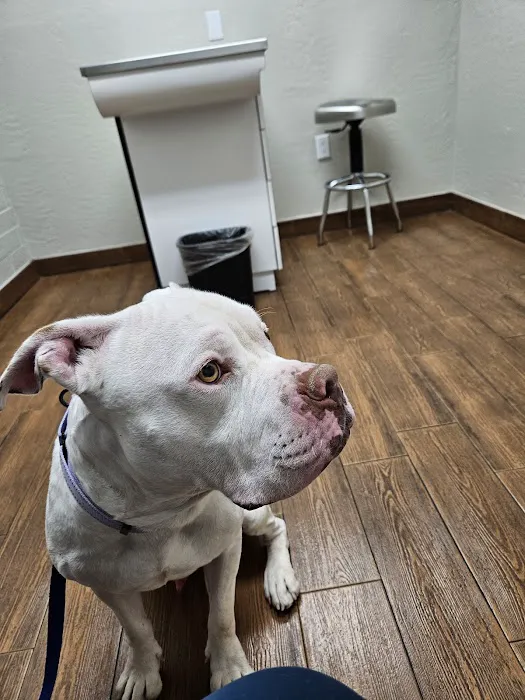 Homestead Animal Clinic Picture 10