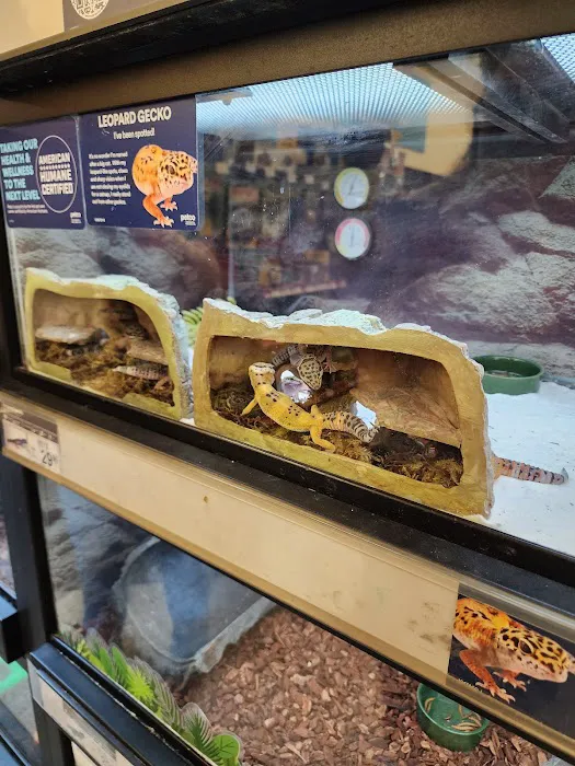 Petco Picture 2