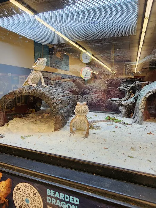 Petco Picture 8