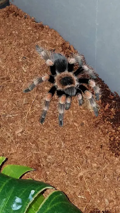 Petco Picture 6