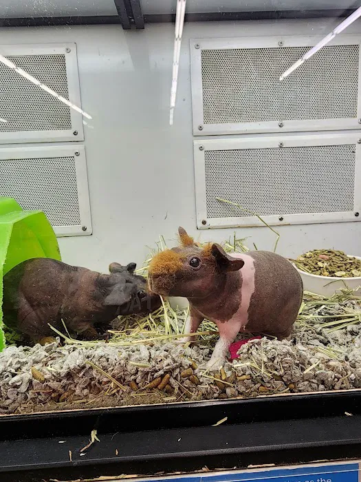 Petco Picture 9