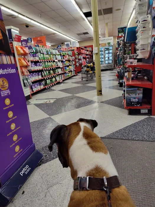 Petco Picture 1