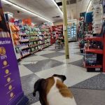 Petco