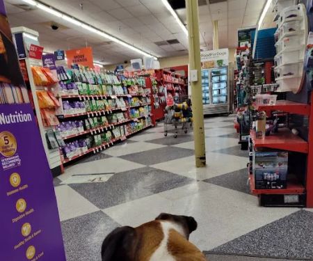 Petco