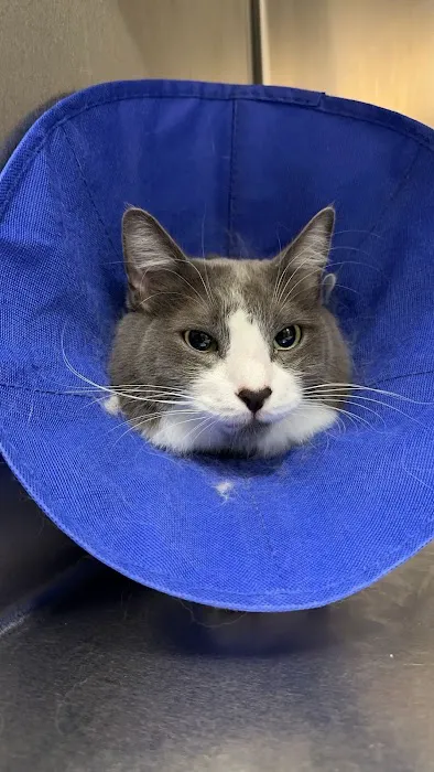 EVE Pet Hospital Picture 5