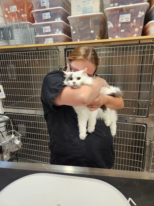 EVE Pet Hospital Picture 3