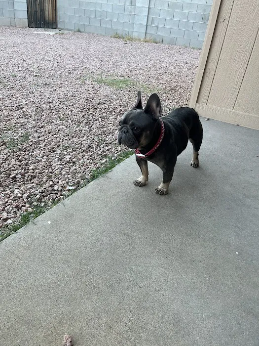 EVE Pet Hospital Picture 8