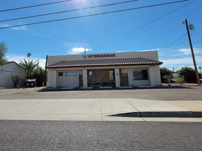 Central Mesa Veterinary Hospital Picture 3