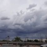 Central Mesa Veterinary Hospital