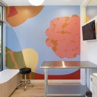 Petfolk Veterinary & Urgent Care - Scottsdale ico