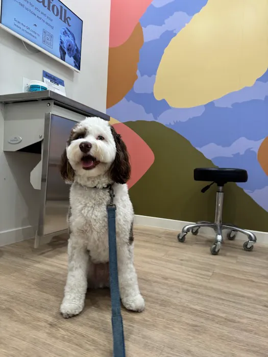 Petfolk Veterinary & Urgent Care - Scottsdale Picture 6