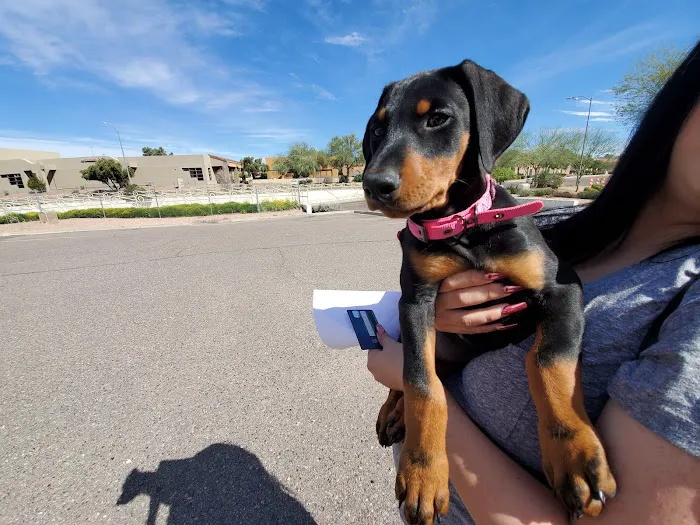 Quartz Mountain Animal Hospital Picture 1