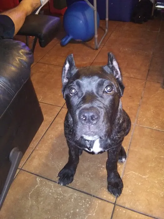 Quartz Mountain Animal Hospital Picture 7