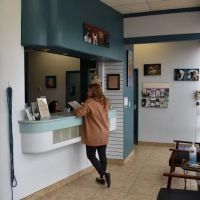 Desert Tails Animal Clinic ico