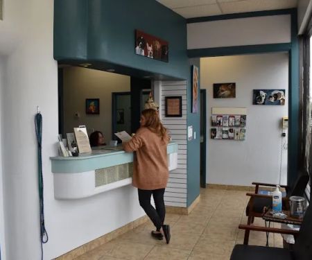 Desert Tails Animal Clinic