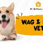 Wag & Love Vet