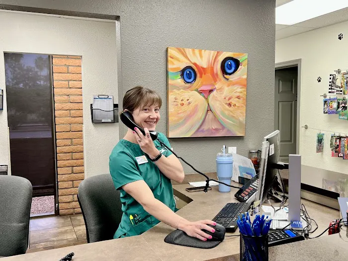 VCA McCormick Ranch Animal Hospital and Emergency Center Picture 6