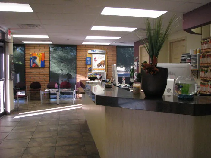 VCA McCormick Ranch Animal Hospital and Emergency Center Picture 10