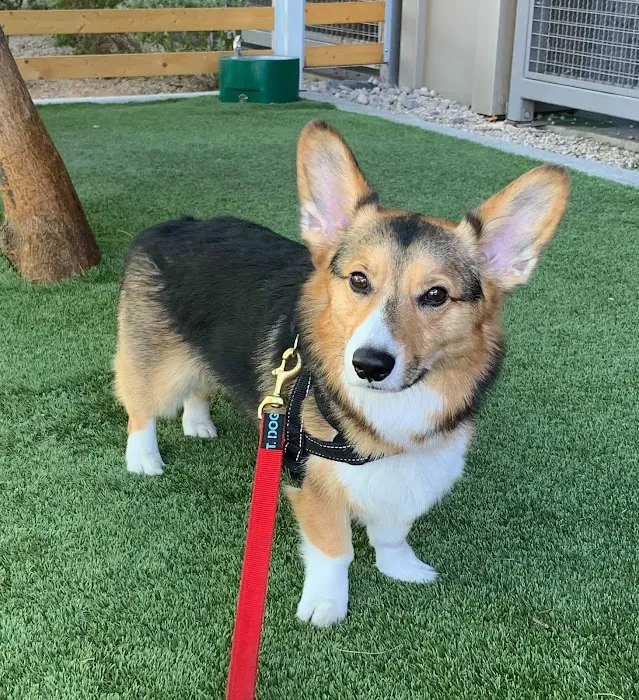 Scottsdale Ranch Animal Hospital Picture 5