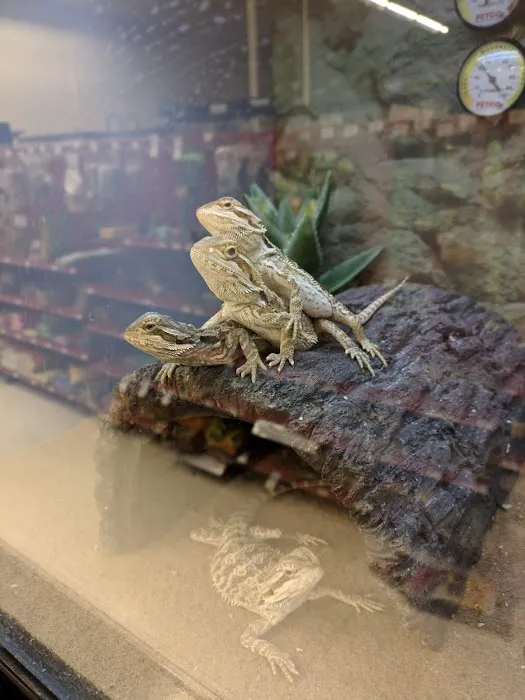 Petco Picture 5