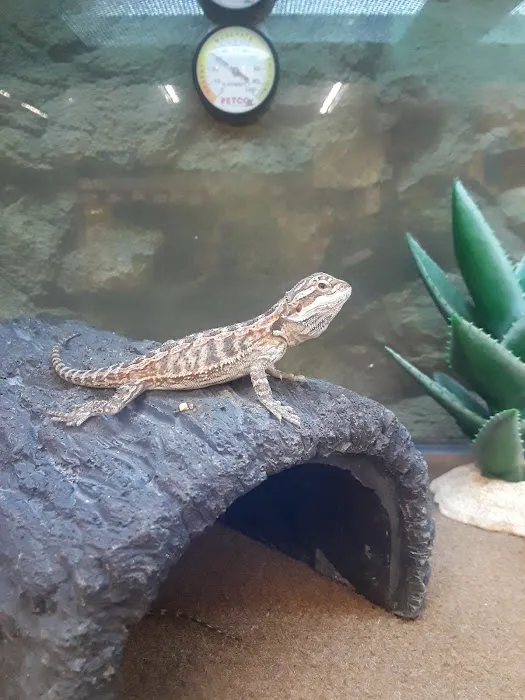 Petco Picture 9