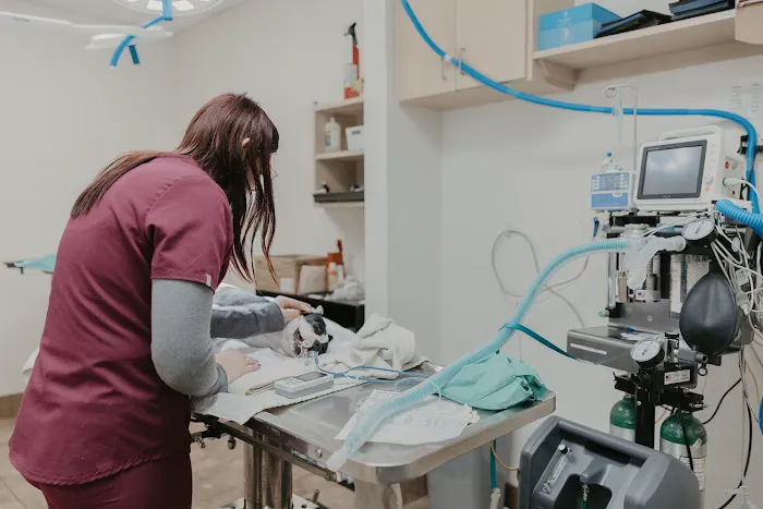 Dr. Kelly's Surgical Unit - North Phoenix Picture 6